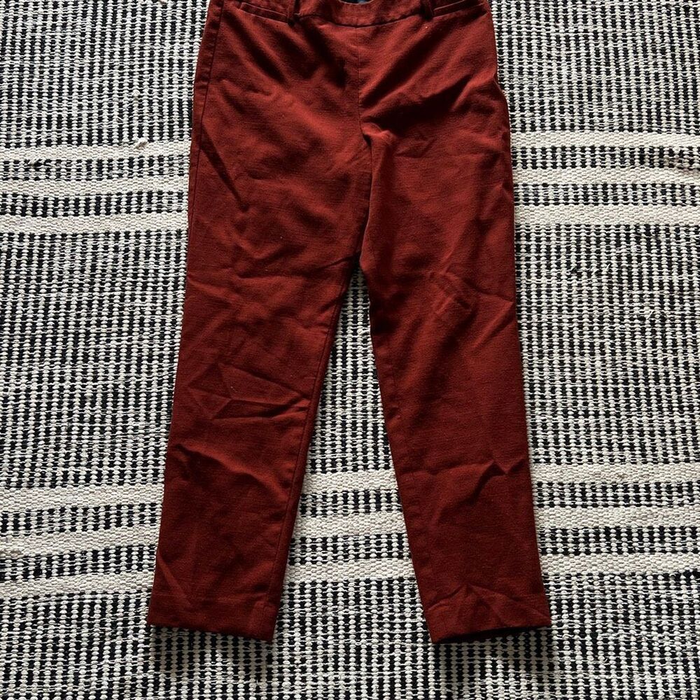 Talbots Size 10 Chatham Burnt Orange Womens pants